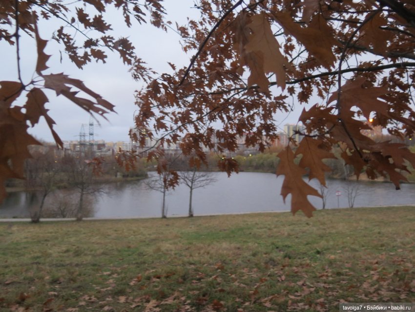 Флёр World of Love ноябрь (фото 3)