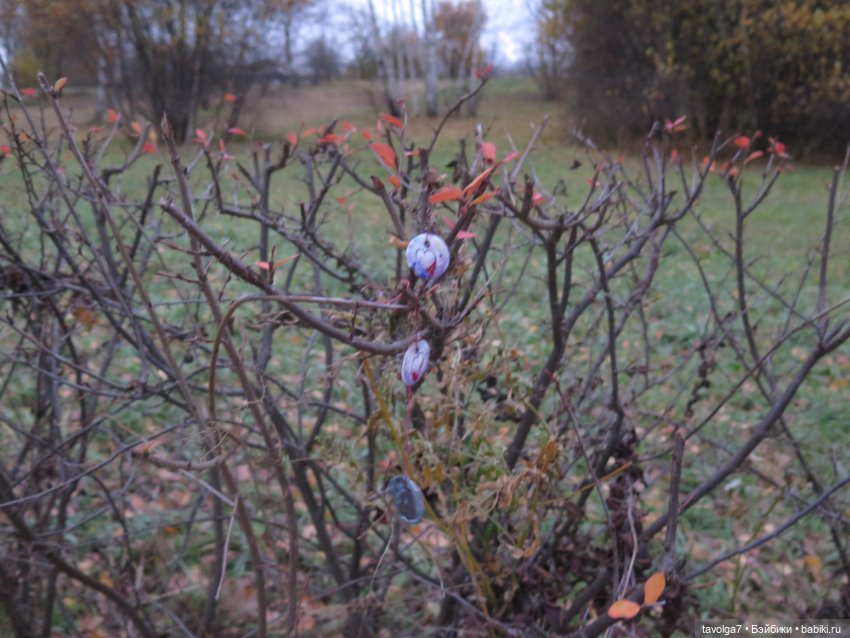 Флёр World of Love ноябрь