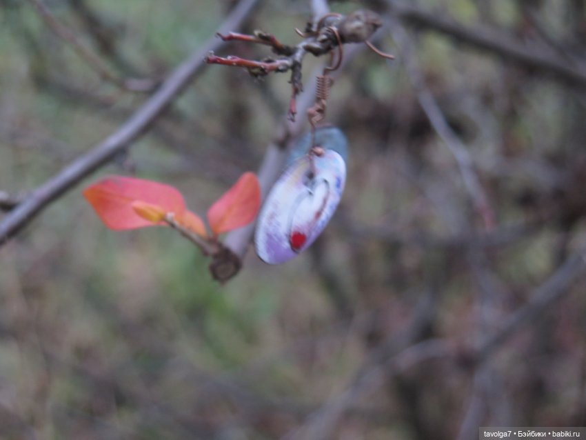 Флёр World of Love ноябрь