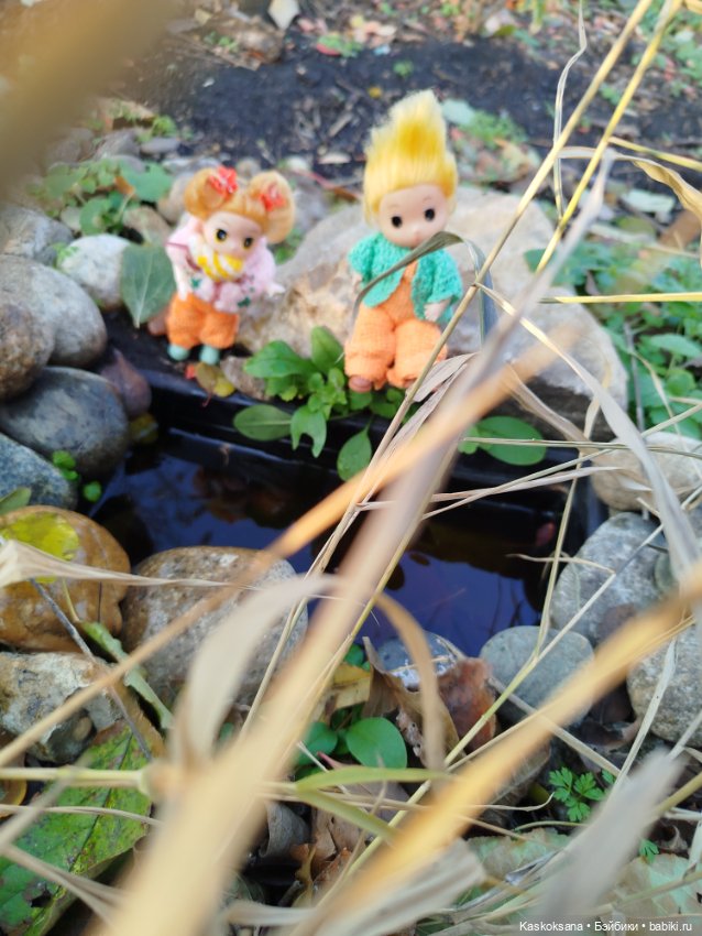 Как Любимчики хорошо поработали (фото 5)