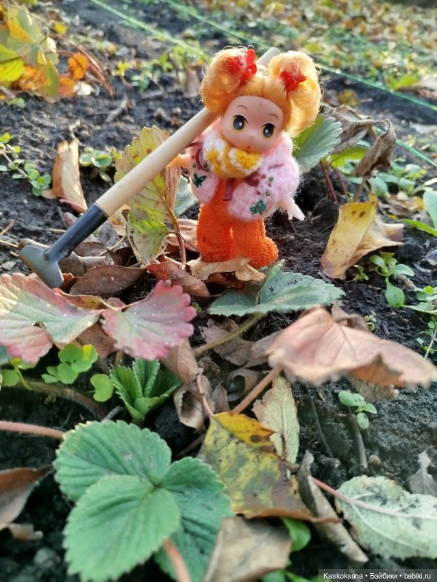 Как Любимчики хорошо поработали