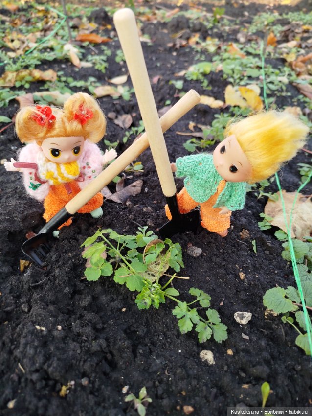 Как Любимчики хорошо поработали