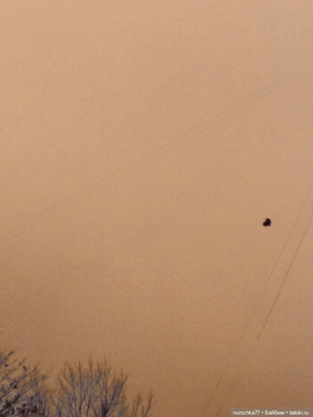 Про Нафочку. Зима, зима, зима