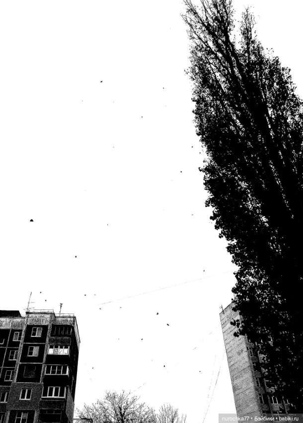 Про Нафочку. Зима, зима, зима