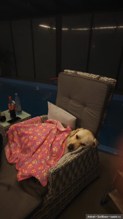 Продолжение покупка Cristina Orange и Gabriel Müller