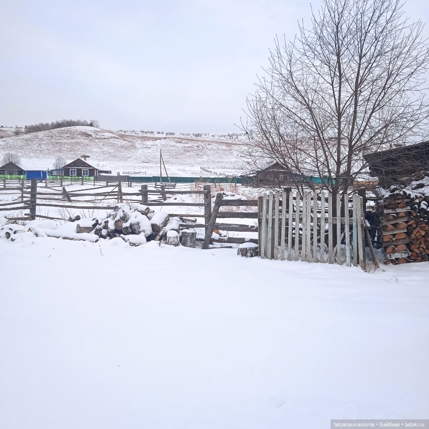 Зима красна морозом и снегом хороша