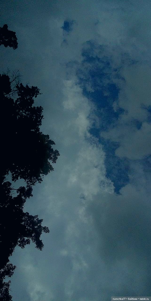 Дом Мешкова — Интересное и необычное: фотоподборки (фото 8)