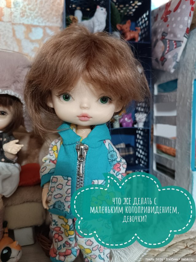 Маленькое котопривидение находит семью