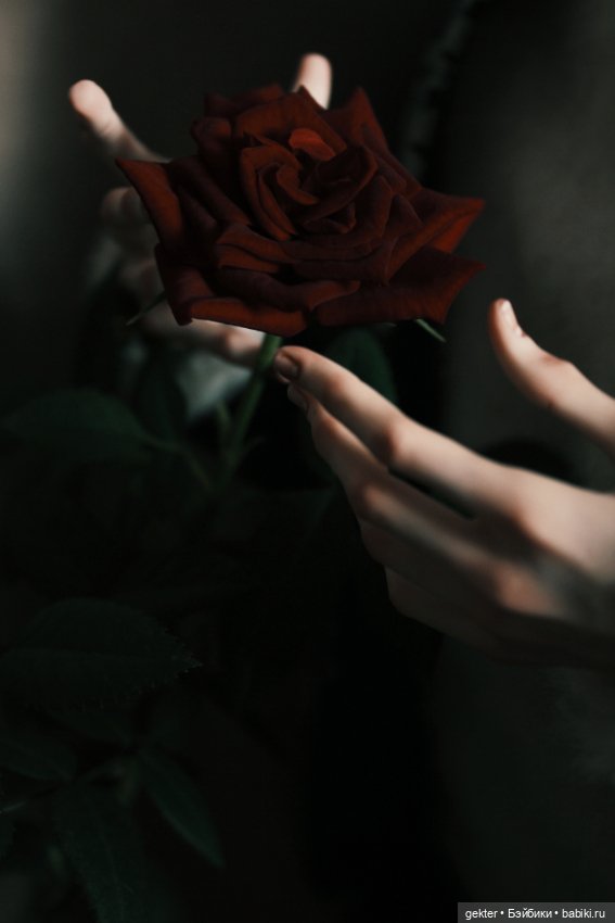 Я тебя не любил — Куклы 5th Motif: корейские BJD (БЖД) (фото 9)