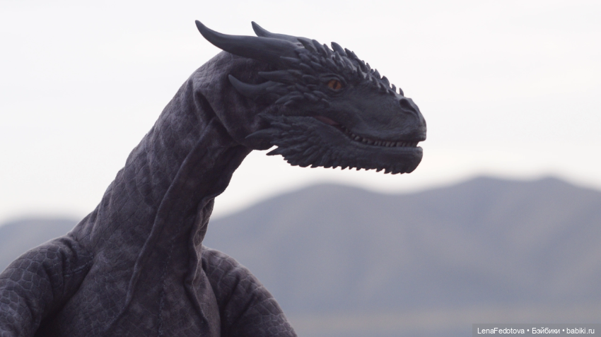 Огромный дракон на фоне сибирских просторов (фото 8)