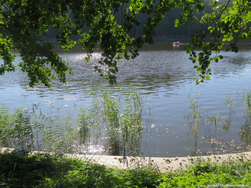 Звезда выезда на Балтику маленькая (фото 7)