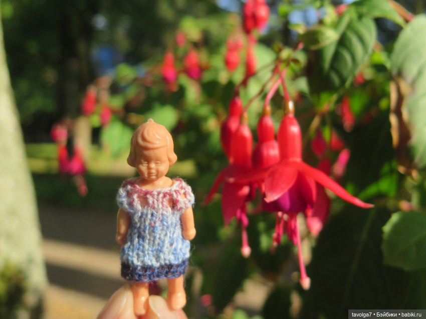 Звезда выезда на Балтику маленькая