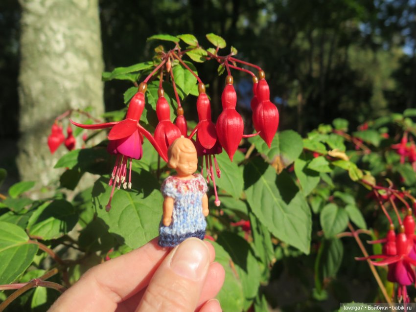 Звезда выезда на Балтику маленькая