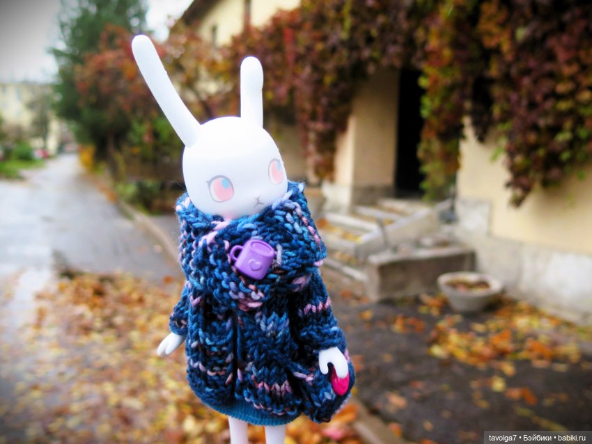 Питер на Самайн 2024 утро с зайкой Клэр