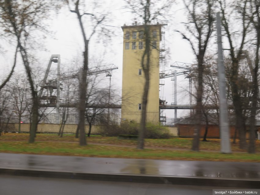 Питер на Самайн 2024 утро с зайкой Клэр