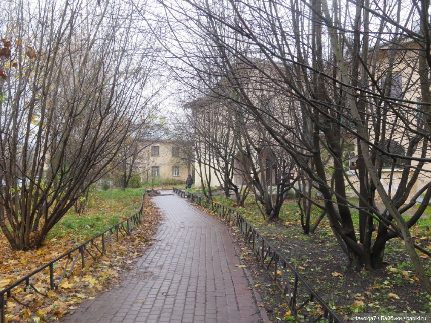 Питер на Самайн 2024 утро с зайкой Клэр