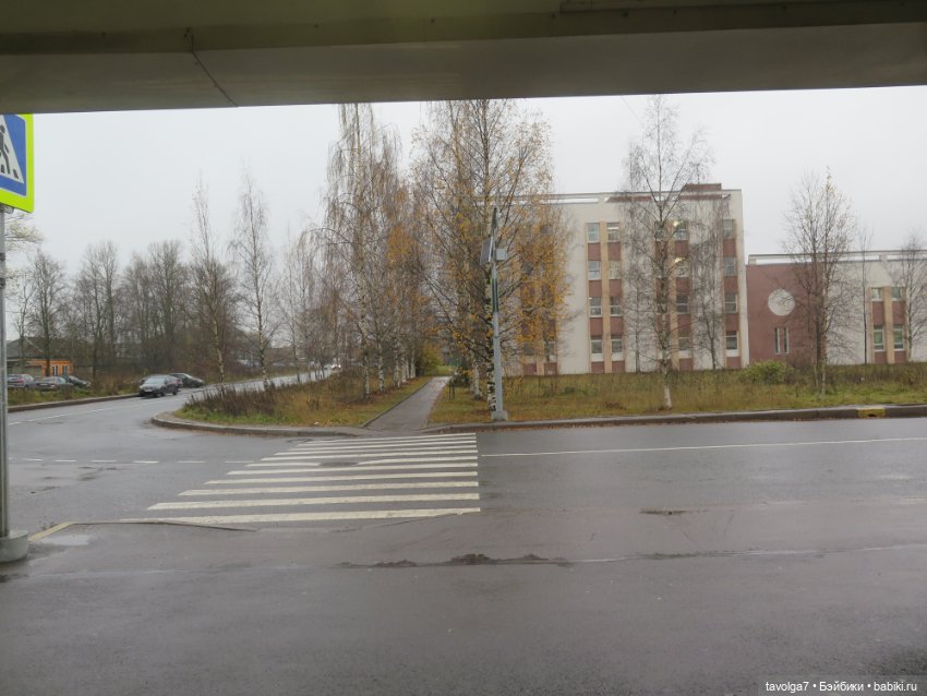 Питер на Самайн 2024 утро с зайкой Клэр (фото 8)