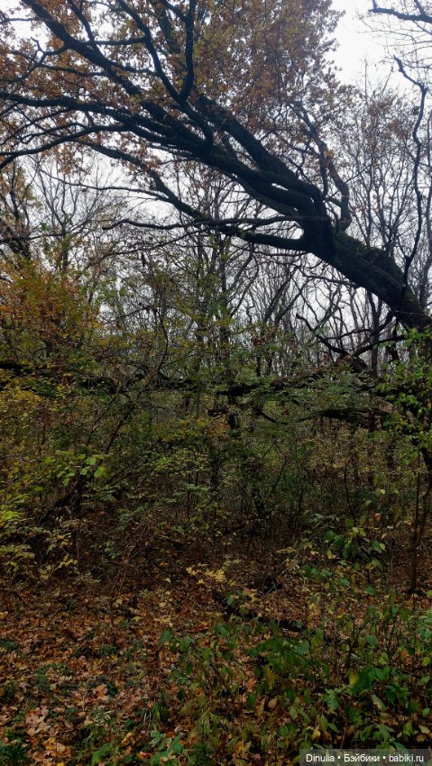 На свежем воздухе — Куклы Baboliy (Баболи (фото 9)