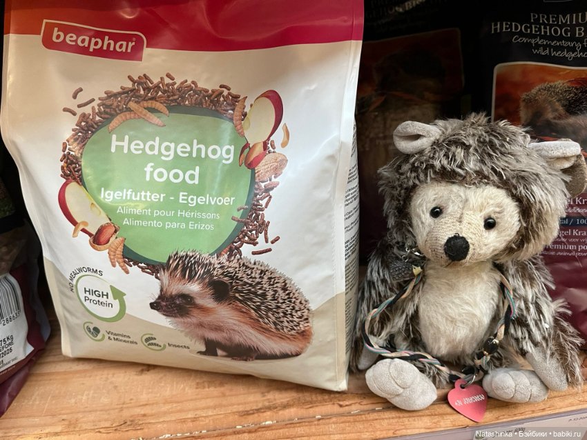 Музыкальная История 167 — Туризм и путешествия: фотоотчеты из поездок