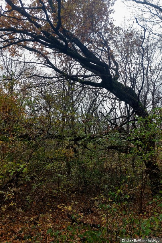 На свежем воздухе — Куклы Baboliy (Баболи (фото 10)