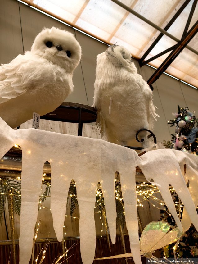 Музыкальная История 167 — Туризм и путешествия: фотоотчеты из поездок