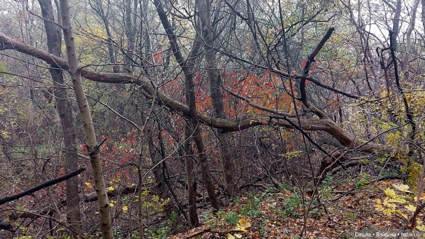 На свежем воздухе — Куклы Baboliy (Баболи