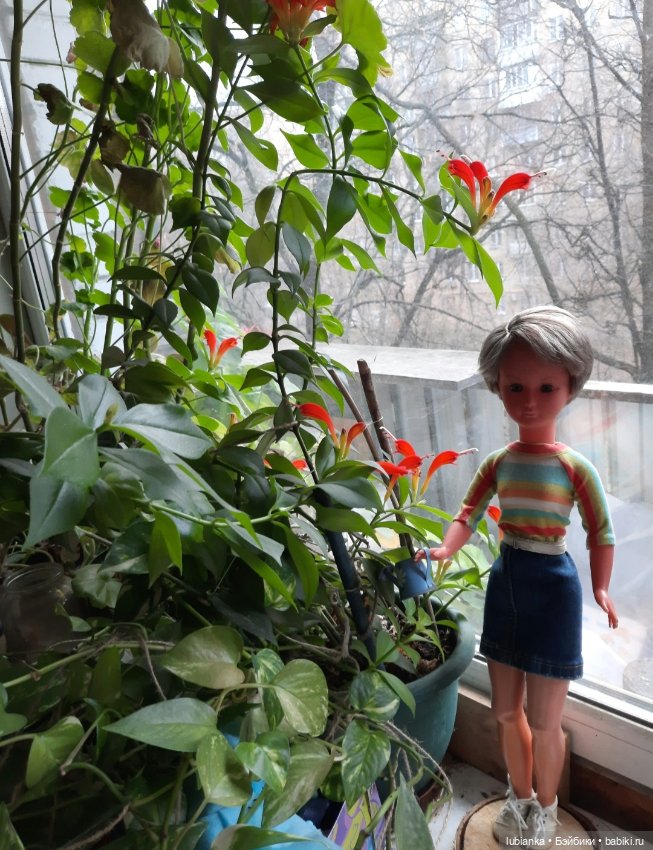 И опять Клементина❤ — Винтажные куклы ГДР (Немки): Бигги (фото 2)