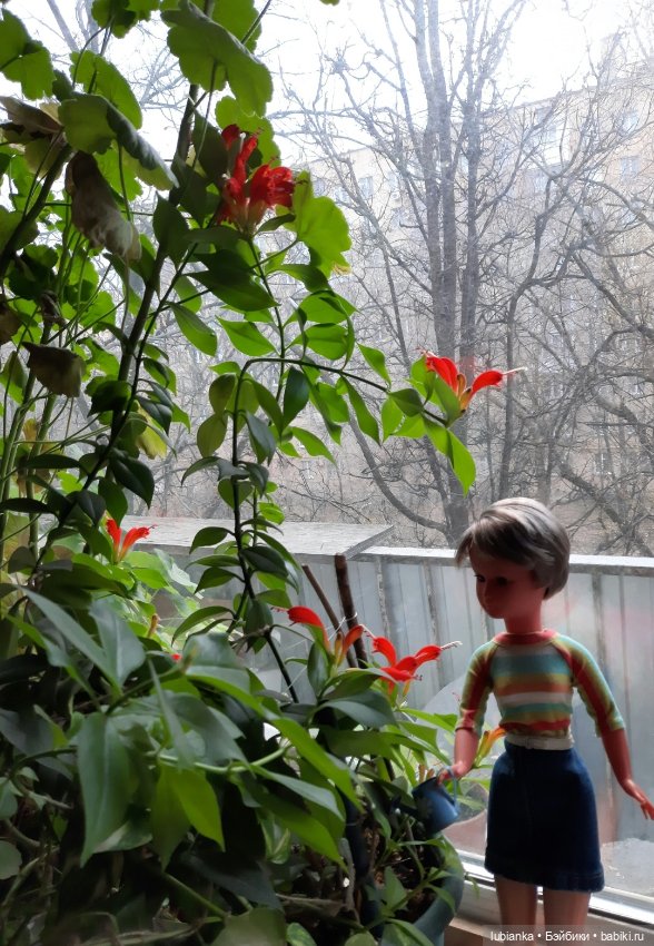 И опять Клементина❤ — Винтажные куклы ГДР (Немки): Бигги