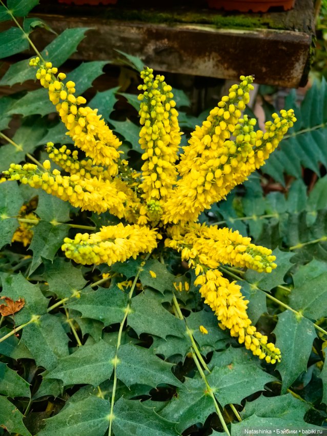 Музыкальная История. 168 — Туризм и путешествия: фотоотчеты из поездок (фото 7)