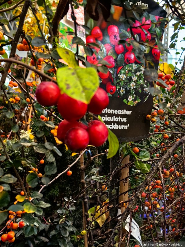 Музыкальная История. 168 — Туризм и путешествия: фотоотчеты из поездок (фото 9)