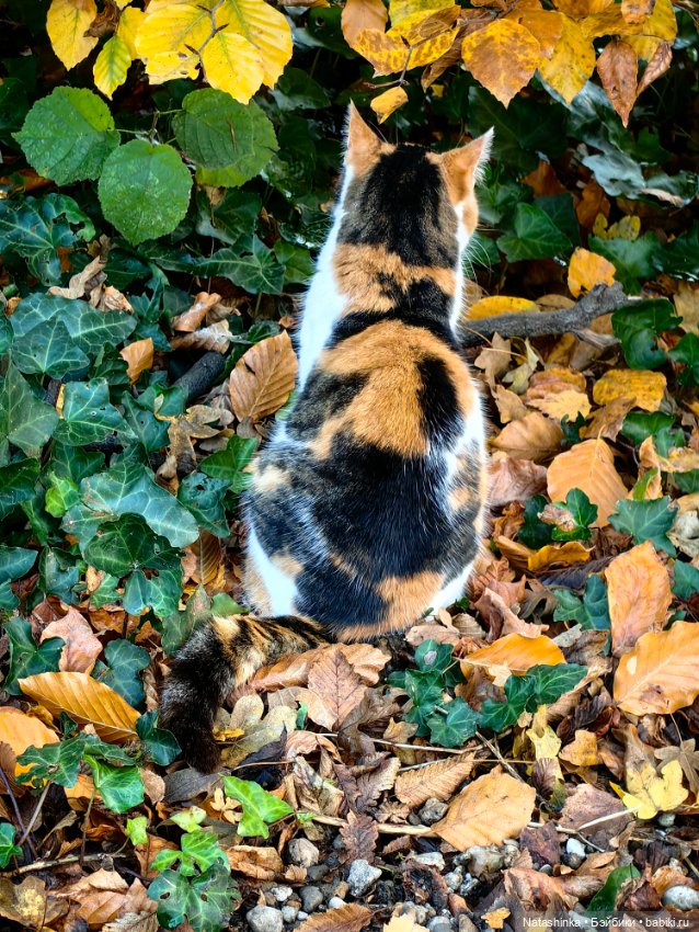 Музыкальная История. 168 — Туризм и путешествия: фотоотчеты из поездок (фото 5)