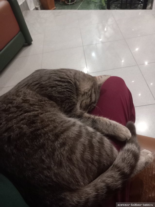 Феоклина в историко-краеведческом музее Нижнего Тагила