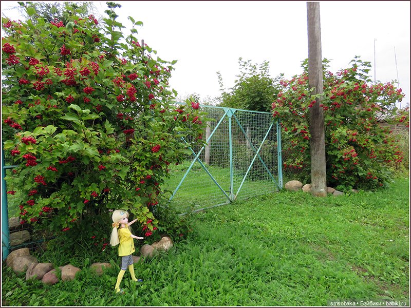 У меня сегодня Юбилей 13 лет! Воспоминания о лете. (2 часть)