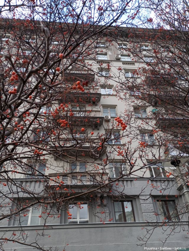 Вокруг Третьяковки с куклами (фото 7)