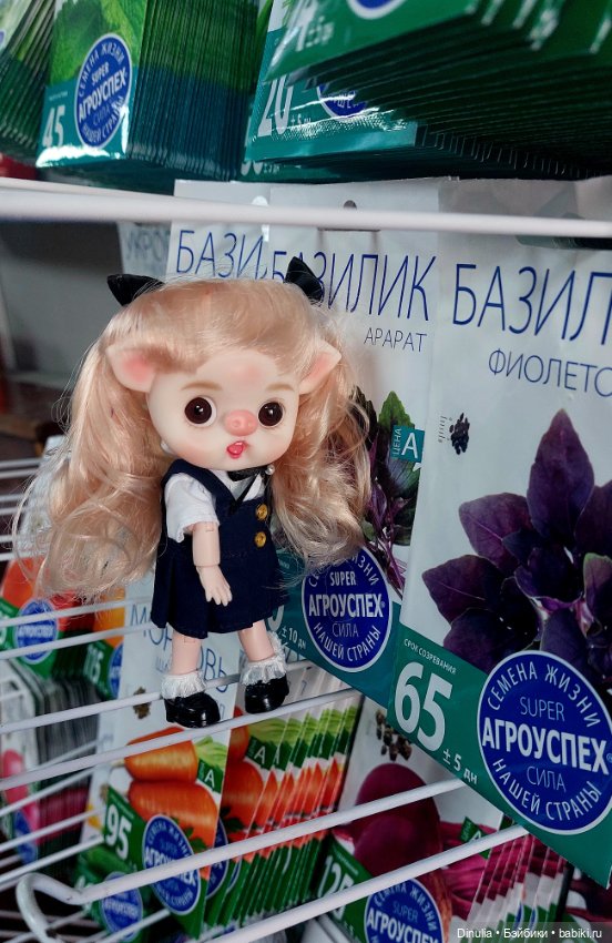 Первый день — Разные шарнирные куклы (не БЖД): редкие (фото 3)