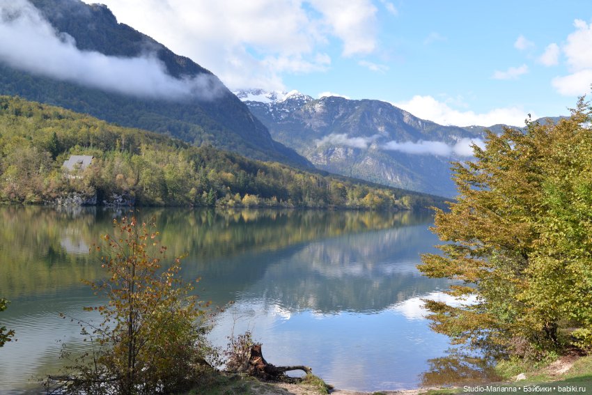 Любимые куклы в Словении — Куклы Ruby Red (Руби Ред) Fashion Friends: Siblies