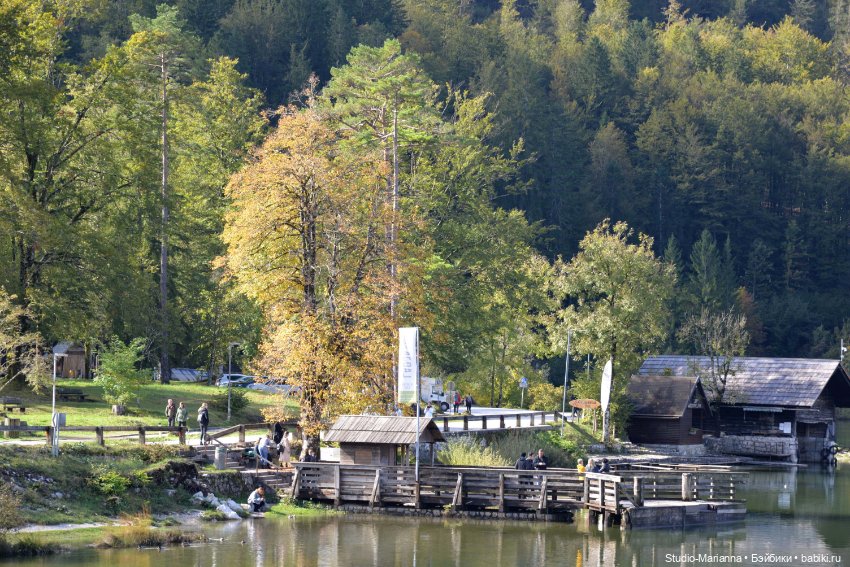 Любимые куклы в Словении — Куклы Ruby Red (Руби Ред) Fashion Friends: Siblies