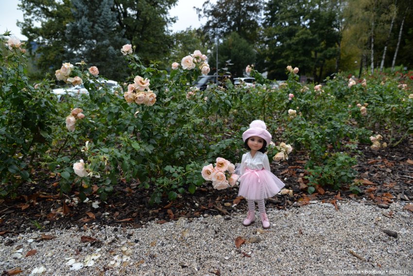 Любимые куклы в Словении — Куклы Ruby Red (Руби Ред) Fashion Friends: Siblies (фото 7)