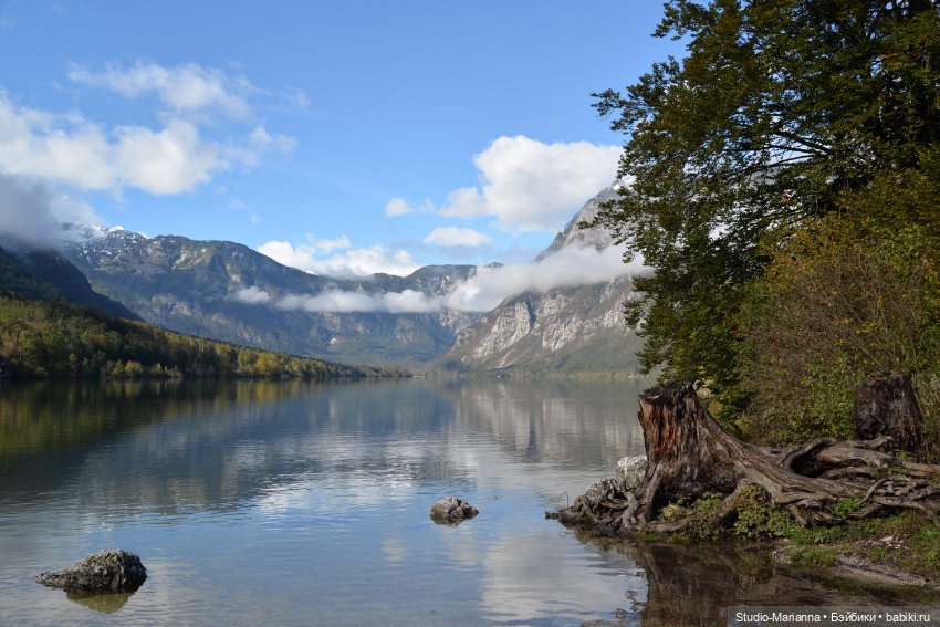 Любимые куклы в Словении — Куклы Ruby Red (Руби Ред) Fashion Friends: Siblies