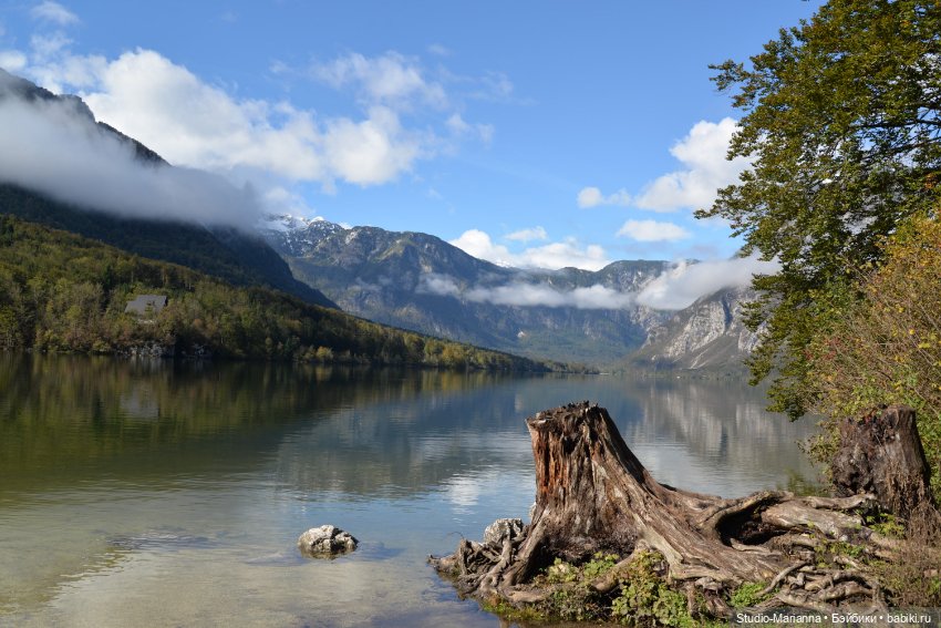 Любимые куклы в Словении — Куклы Ruby Red (Руби Ред) Fashion Friends: Siblies