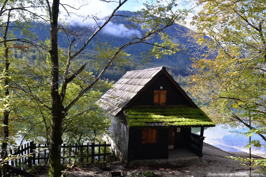 Любимые куклы в Словении — Куклы Ruby Red (Руби Ред) Fashion Friends: Siblies