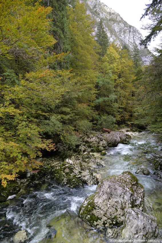 Любимые куклы в Словении — Куклы Ruby Red (Руби Ред) Fashion Friends: Siblies