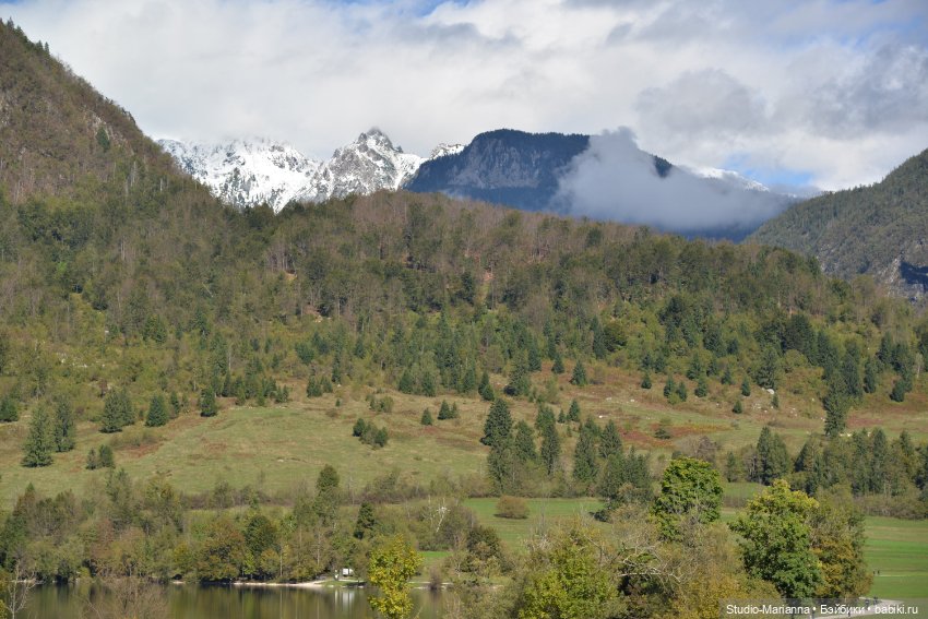 Любимые куклы в Словении — Куклы Ruby Red (Руби Ред) Fashion Friends: Siblies