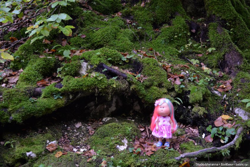 Любимые куклы в Словении — Куклы Ruby Red (Руби Ред) Fashion Friends: Siblies