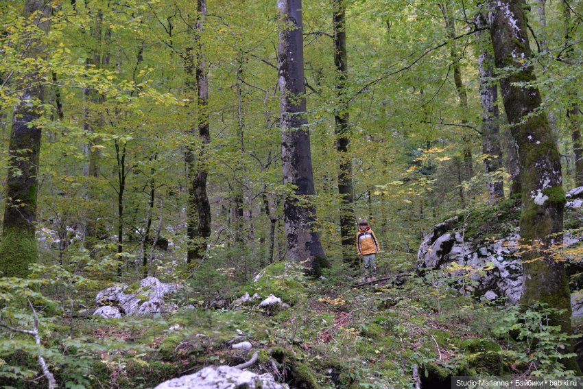 Любимые куклы в Словении — Куклы Ruby Red (Руби Ред) Fashion Friends: Siblies