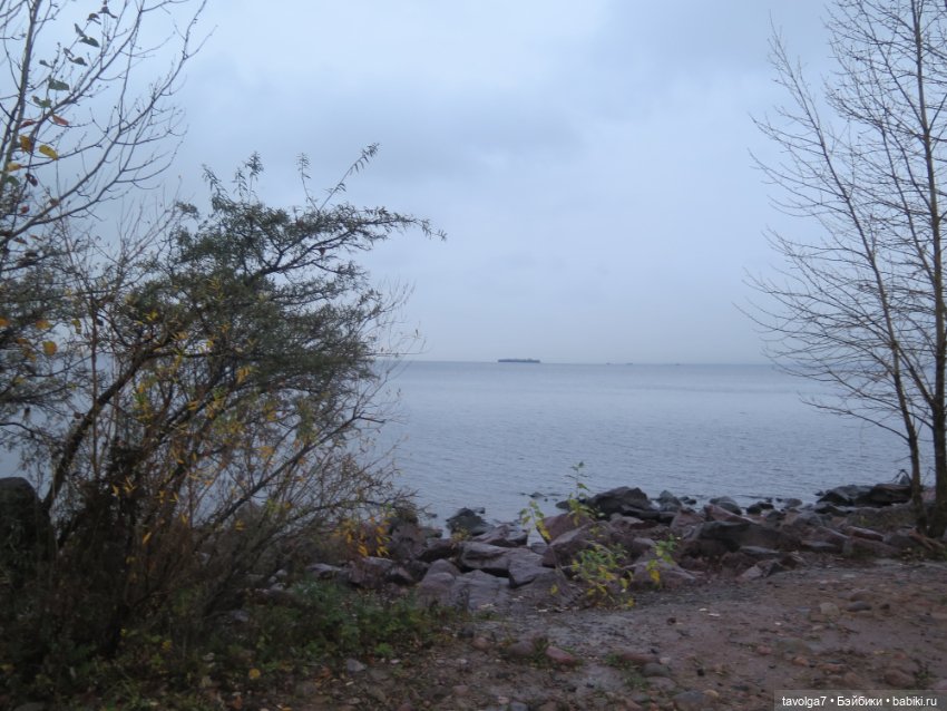 "Ноябрь - это ноябрь, ему всё равно..."