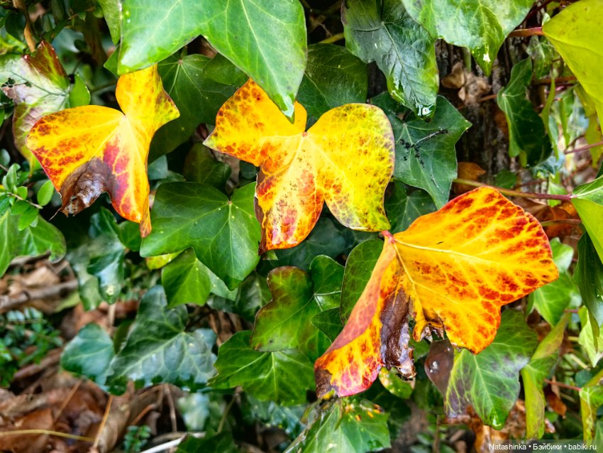 Музыкальная История 169 — Туризм и путешествия: фотоотчеты из поездок