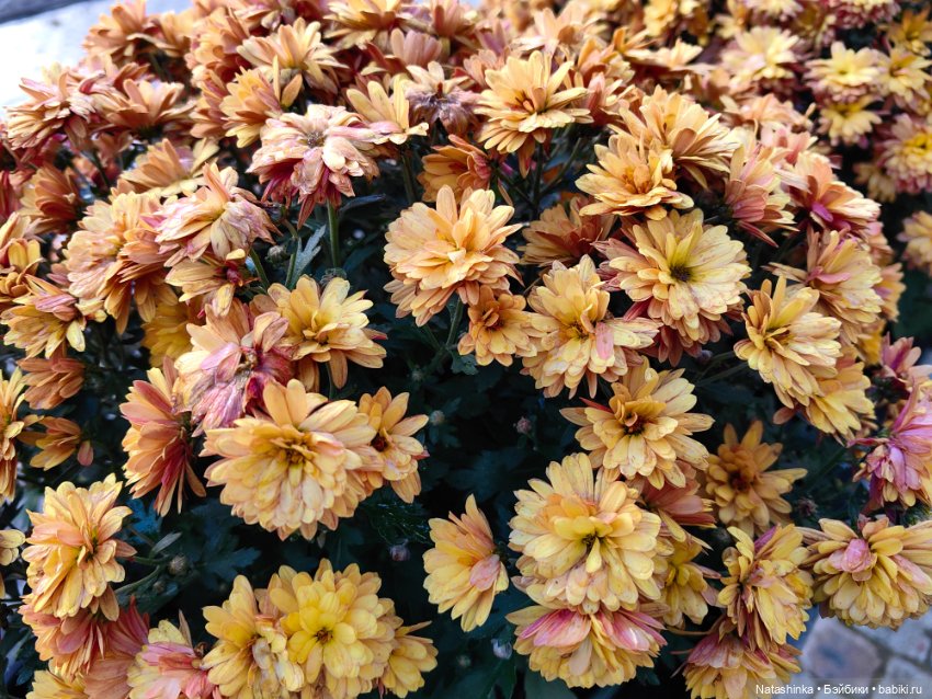 Музыкальная История 169 — Туризм и путешествия: фотоотчеты из поездок (фото 4)