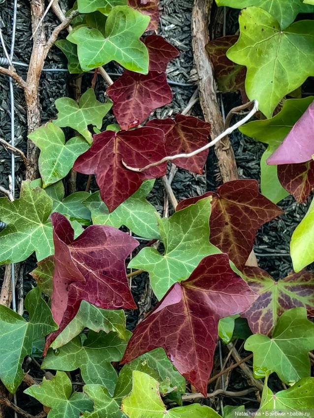 Музыкальная История 169 — Туризм и путешествия: фотоотчеты из поездок (фото 2)