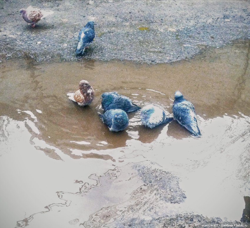 Про Нафочку. В гостях у тёплых Снеговичков (фото 5)